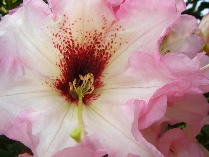 exburygardens013.jpg