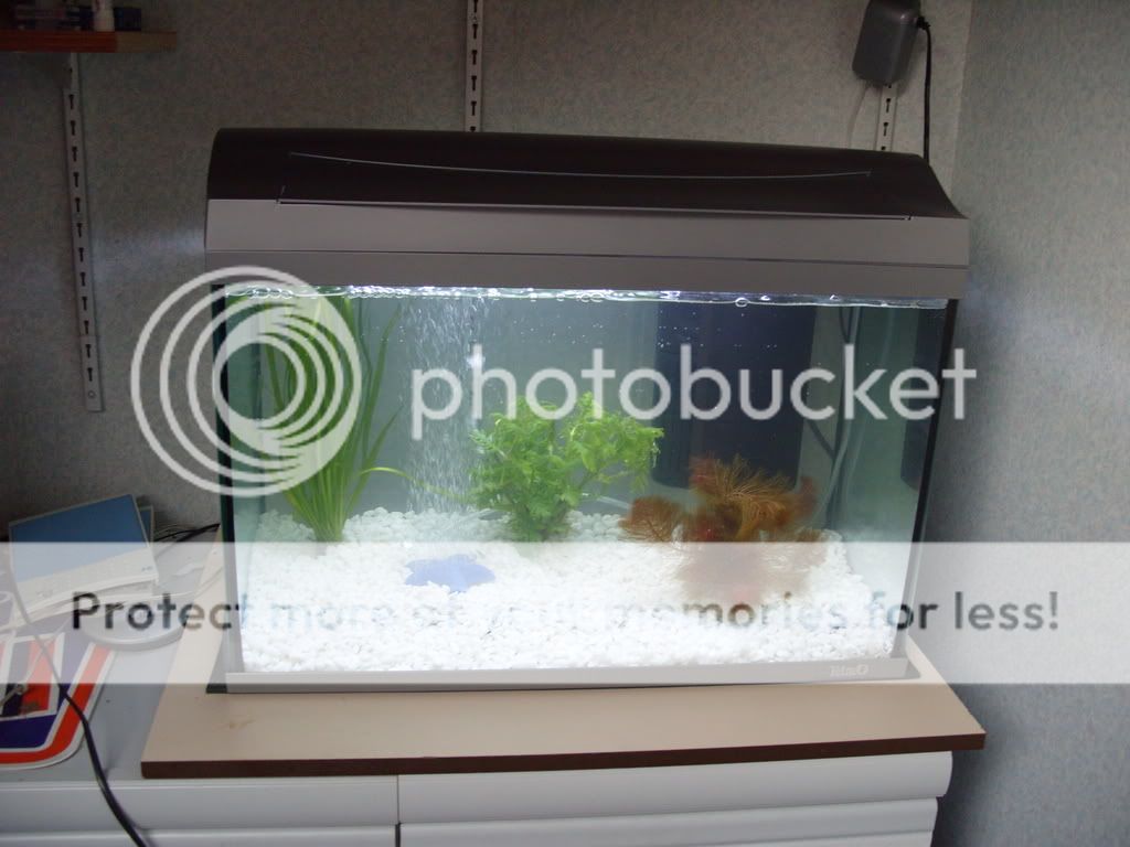 S1050658.jpg