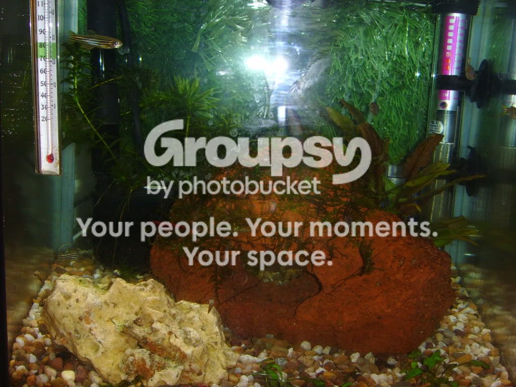 2010-03-07002.jpg