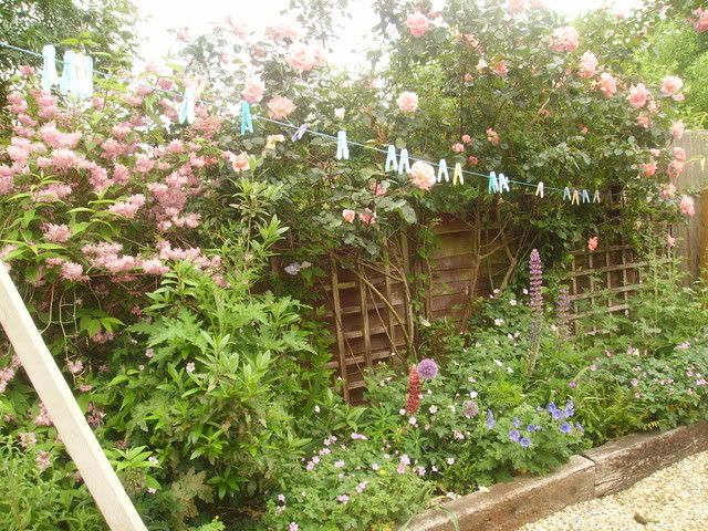 garden001.jpg