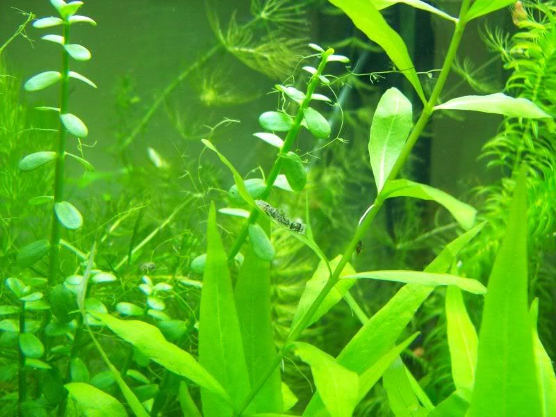 100_0712.jpg