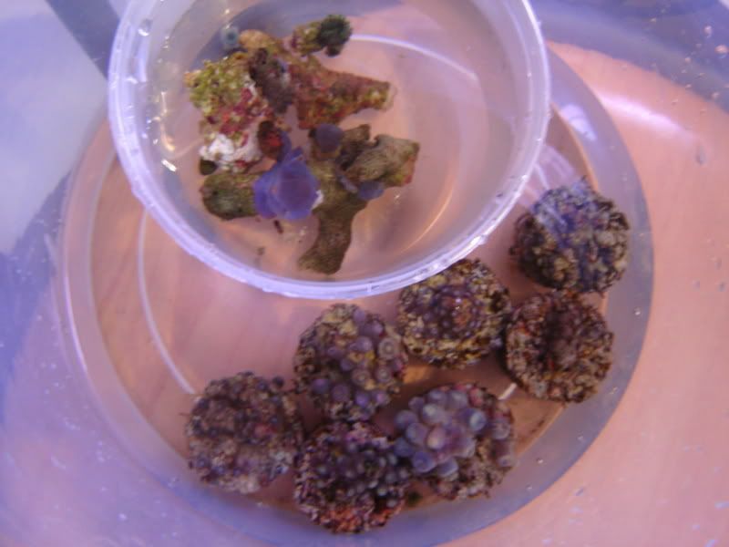 DSC04912.jpg