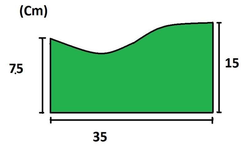 Javamoss-1.jpg