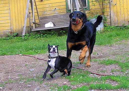 061.jpg