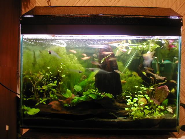Picture058.jpg