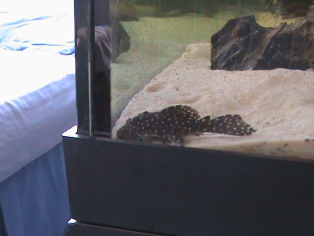 DSC00100.jpg