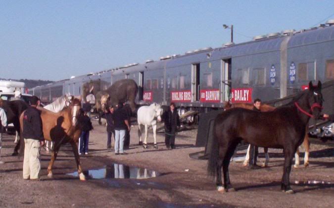 100_3057.jpg
