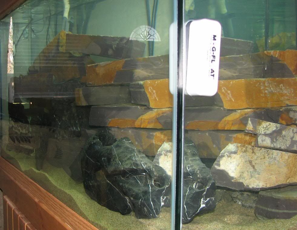 FishTank012.jpg