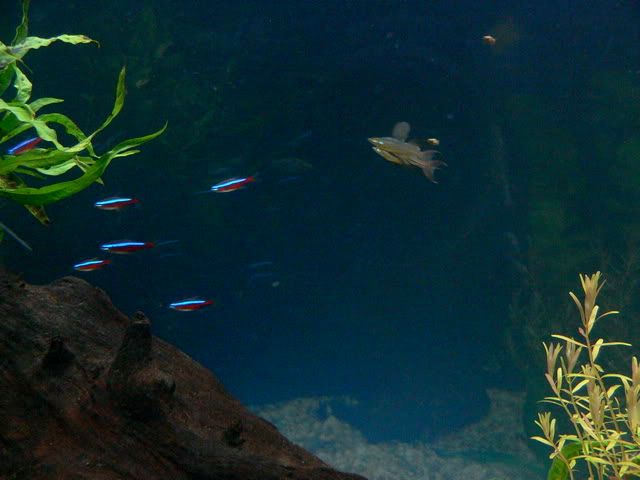 P1070155.jpg