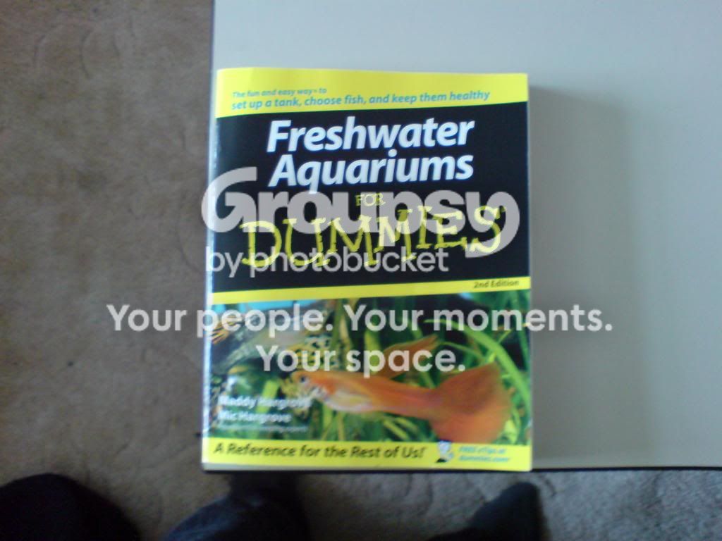 DSC00018.jpg