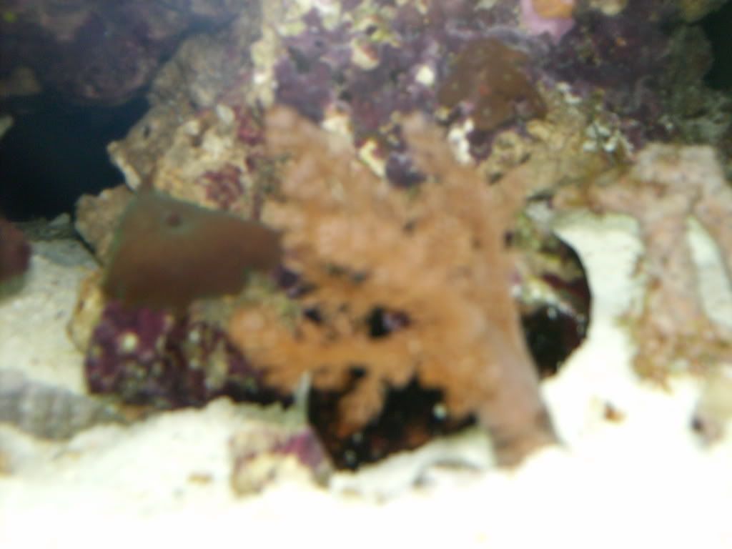 HPIM0274.jpg