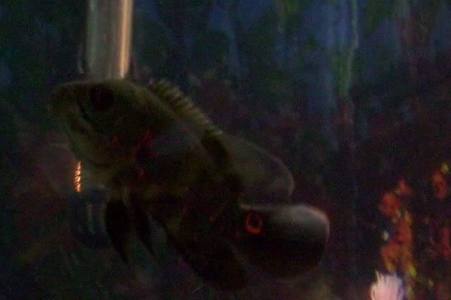 101_0675.jpg