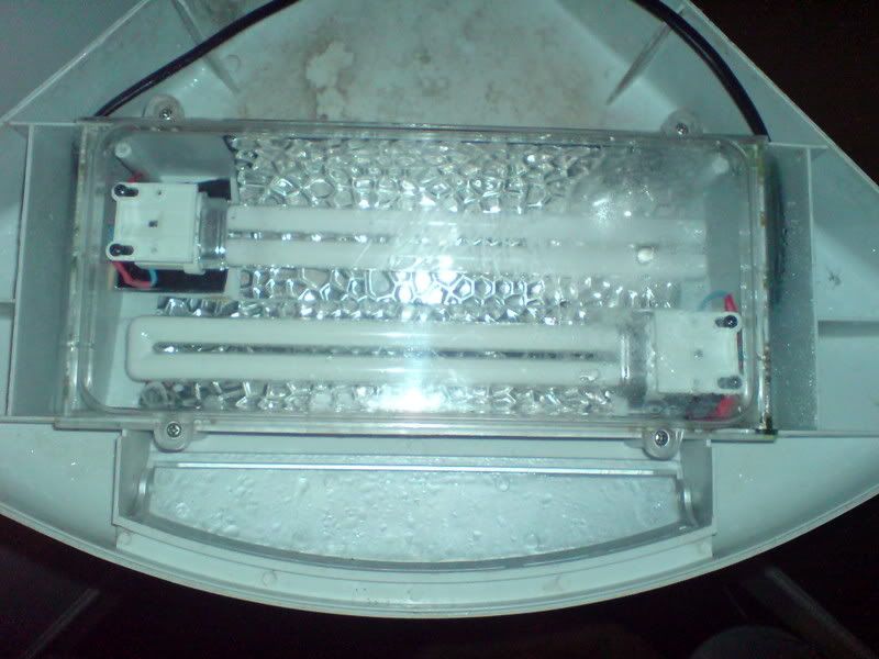 lights.jpg