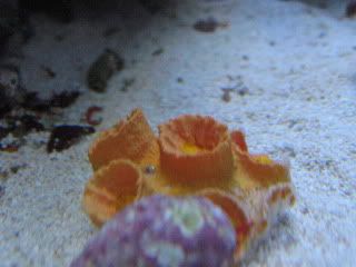 IMG_1938.jpg