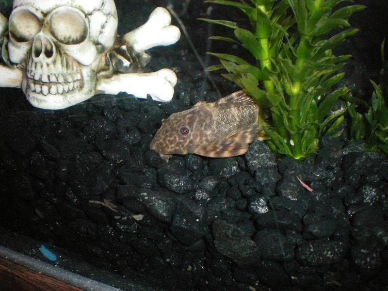 100_0040.jpg