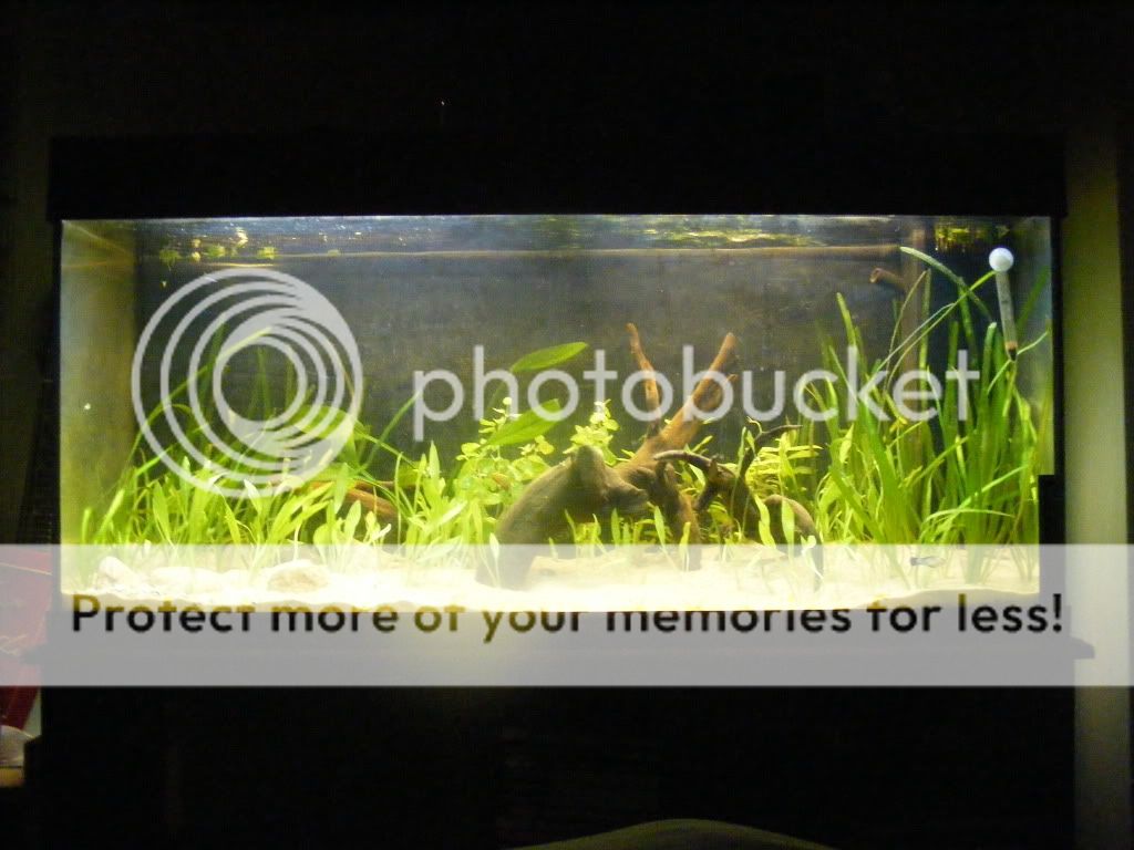 DSCF5891.jpg