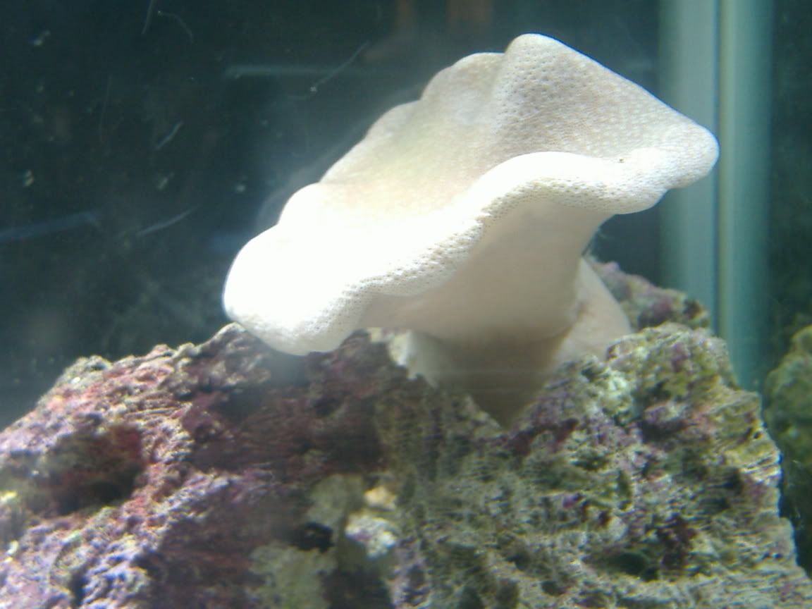 DSCF0542.jpg