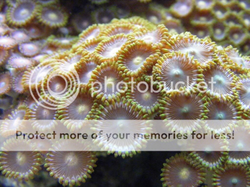 DSCF2784.jpg