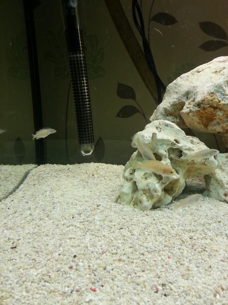 20130304_205900.jpg