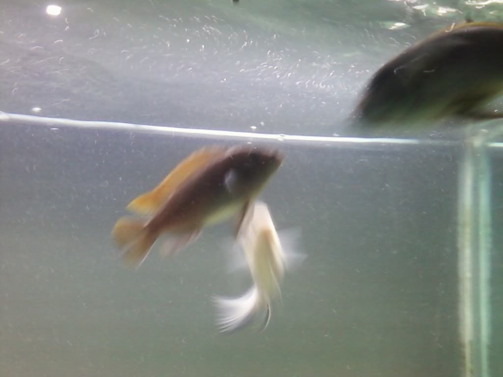 0917092335.jpg