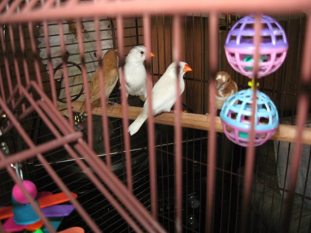 IMG_23411.jpg