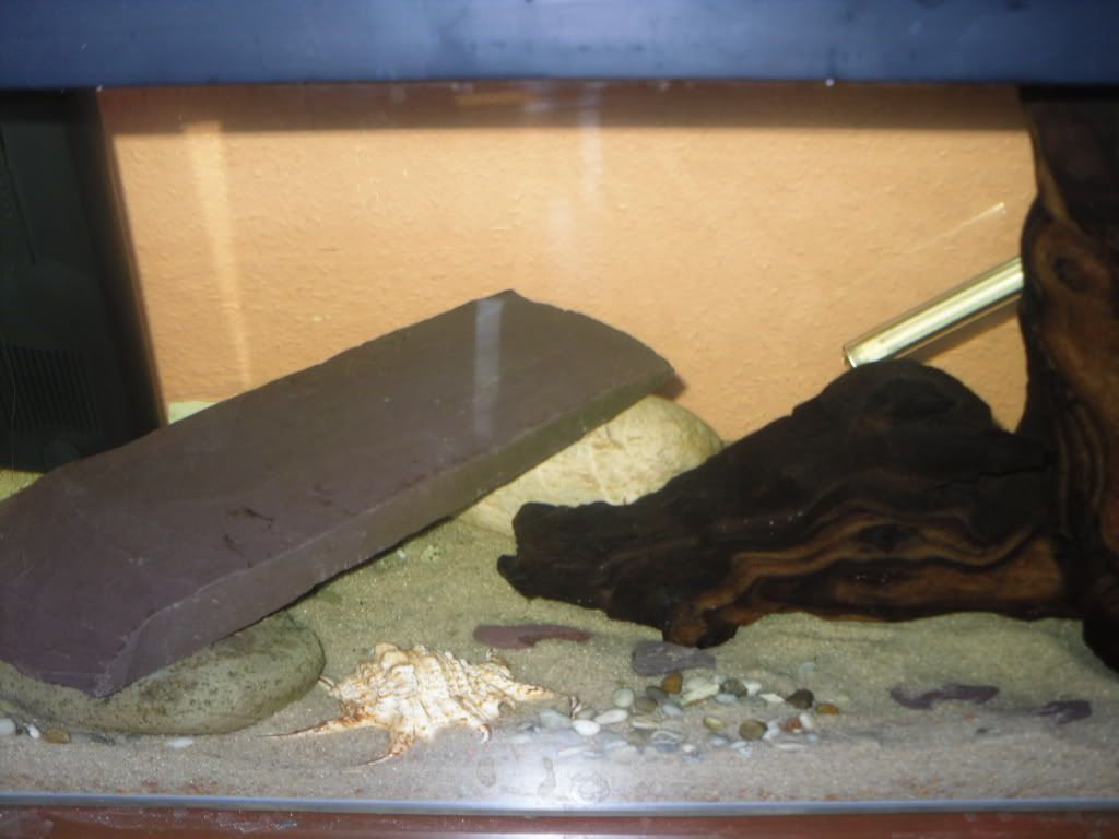 fishtank004.jpg