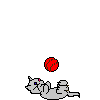 kittyball.gif