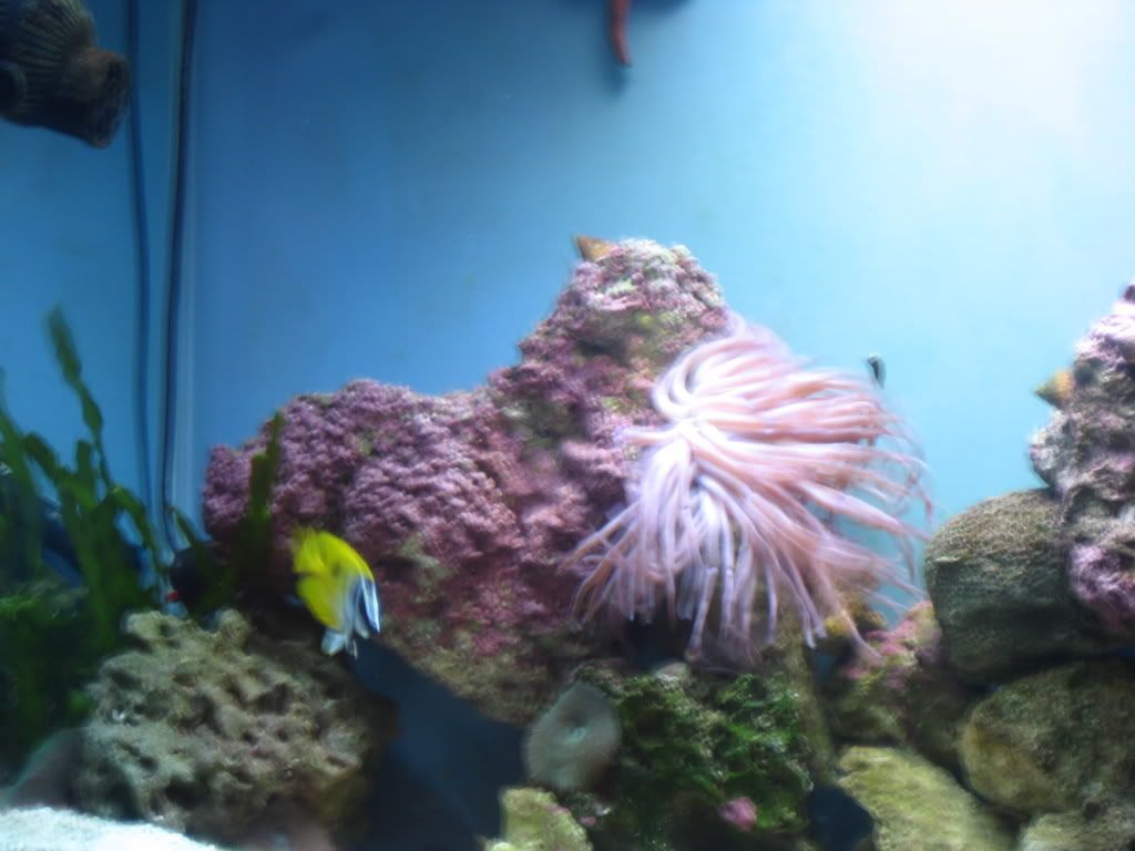 IMG_0003.jpg