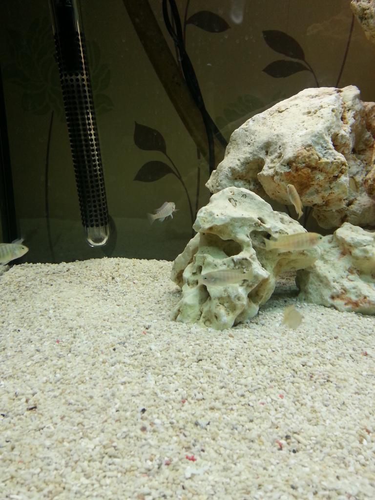 20130304_205853.jpg