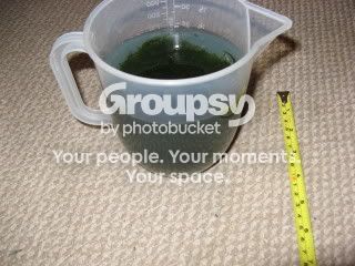 Photo1801.jpg