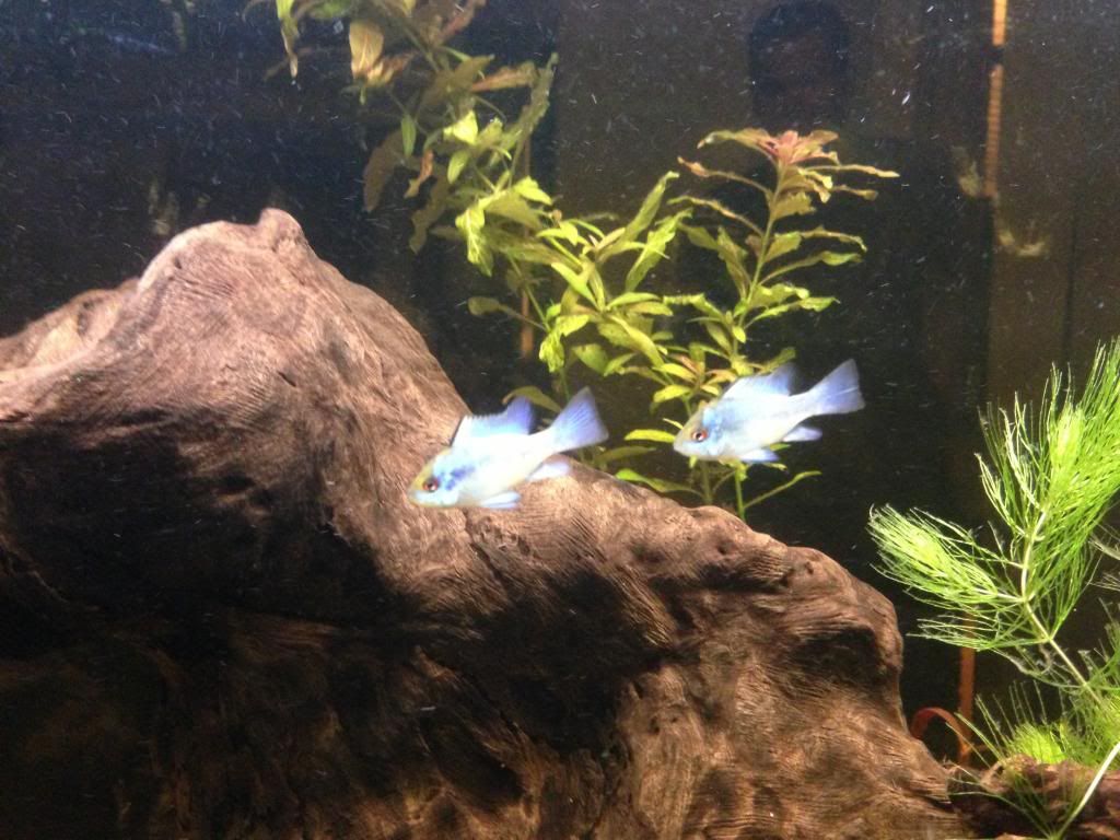 iPhone048_zps6d5570e4.jpg