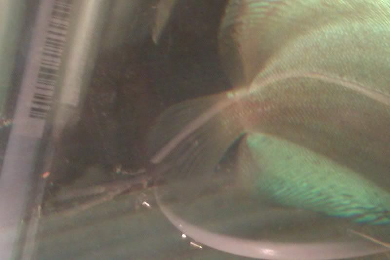 IMAG0051.jpg