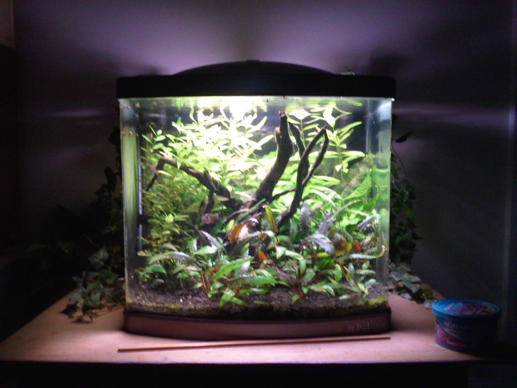 fts2feb12.jpg