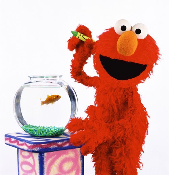 Elmo-his-goldfish-elmo-2282774-580-600.jpg