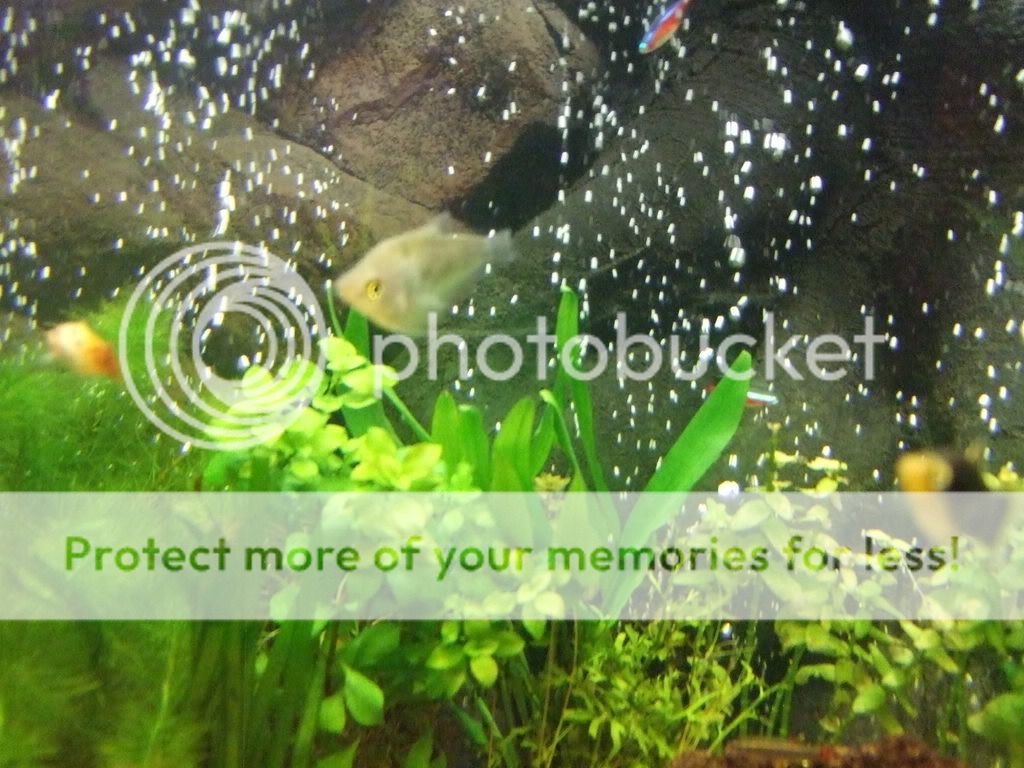 DSCF4984.jpg