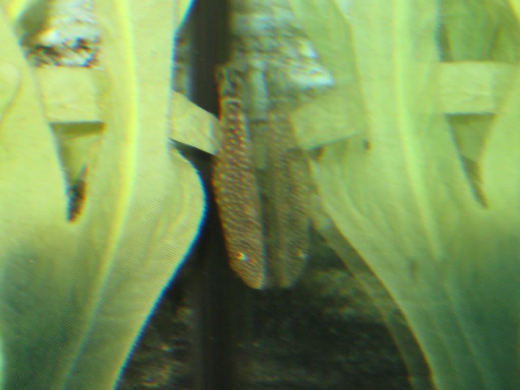 Newkillifishandhillstreamloach026.jpg