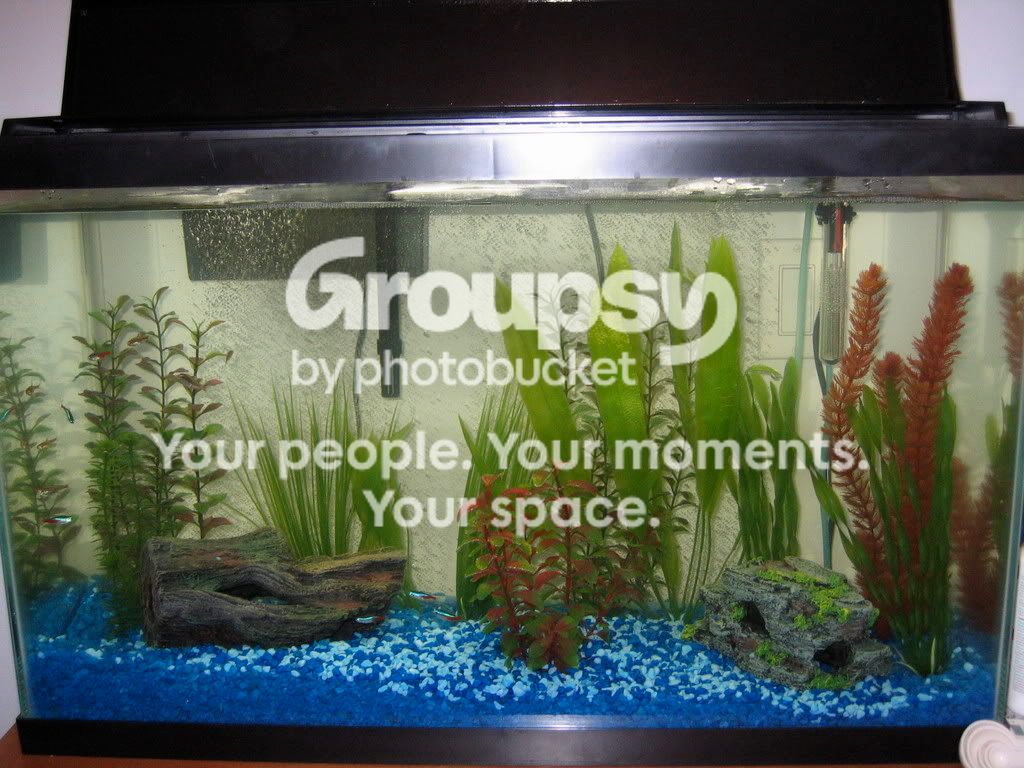 FishTank001.jpg