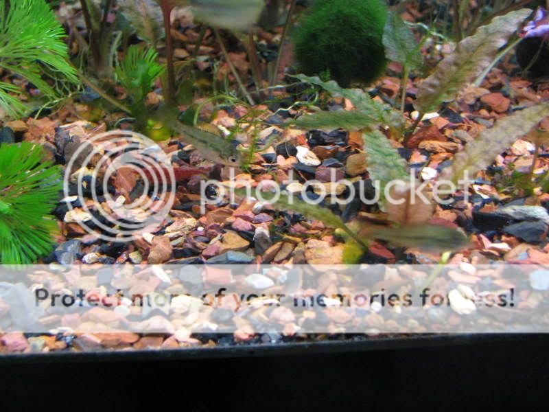 IMG_7649.jpg