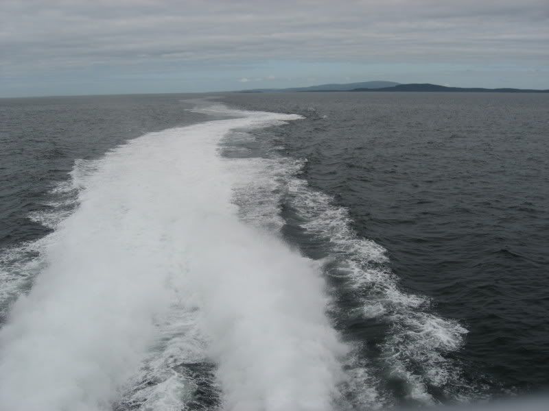 IMG_1617.jpg