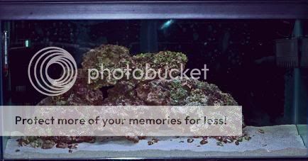 100_0765a.jpg