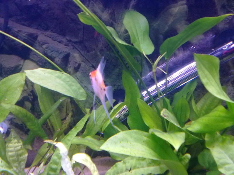 05032011267.jpg