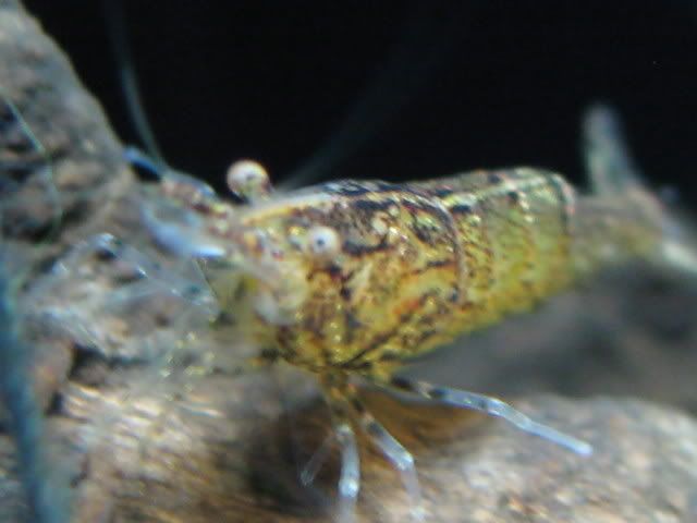 IMG_1865.jpg