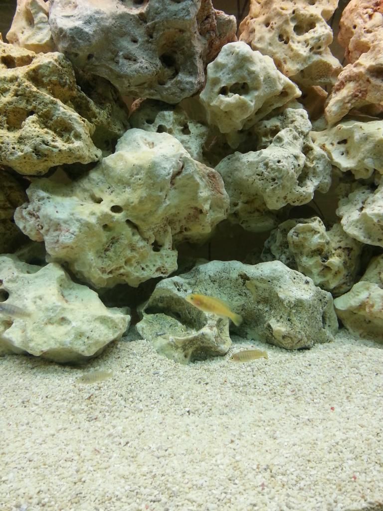 20130304_205908.jpg