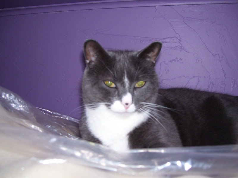 000_0044.jpg