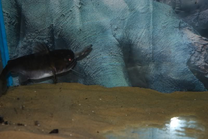 DSC_0230.jpg