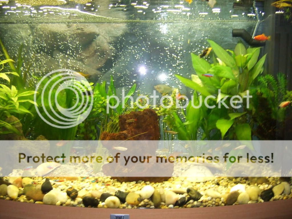 DSCF4972.jpg