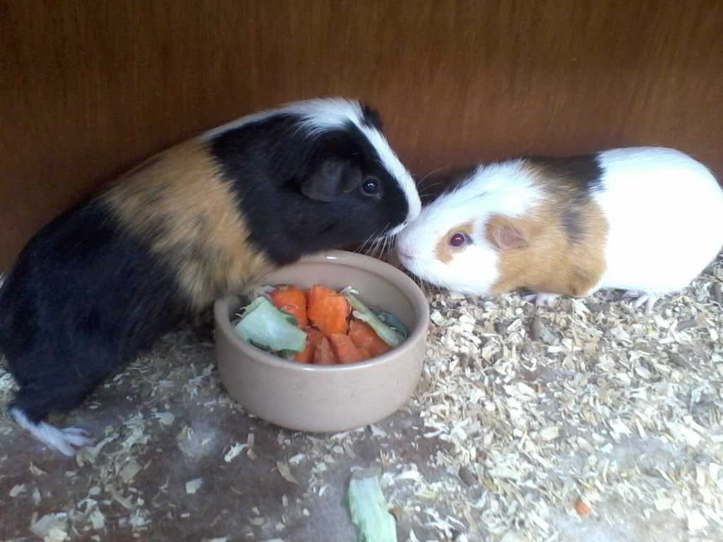 2011-07-04192105.jpg