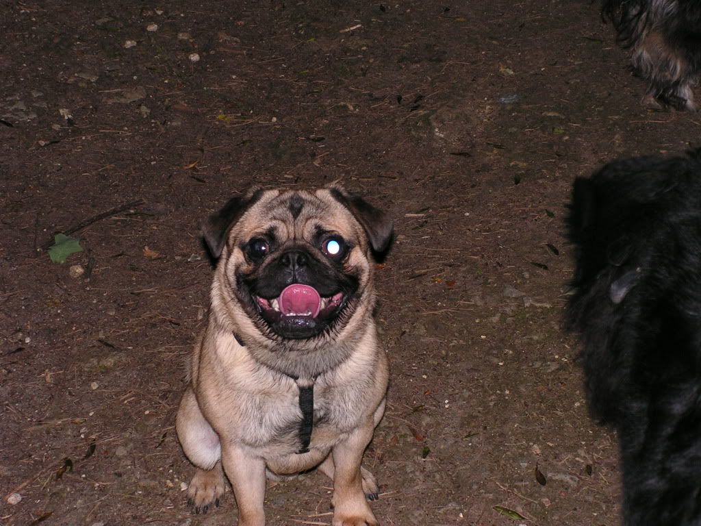 PICT0889.jpg