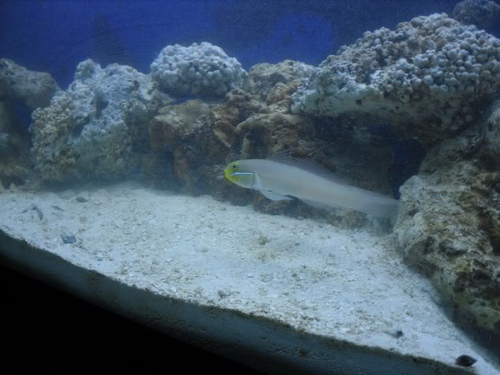 SDC10305.jpg