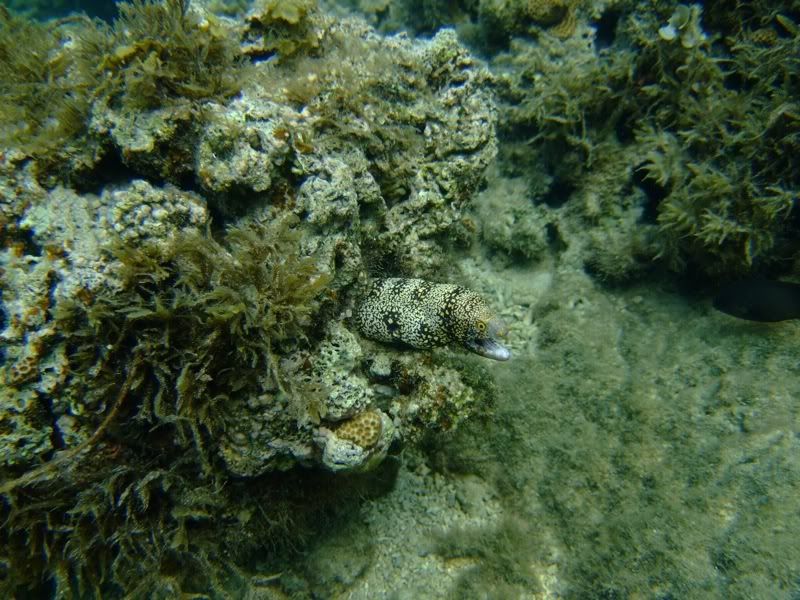 DSCF1519.jpg